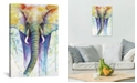 iCanvas  Elephant Colors by Michelle Faber Wrapped Canvas Print Collection